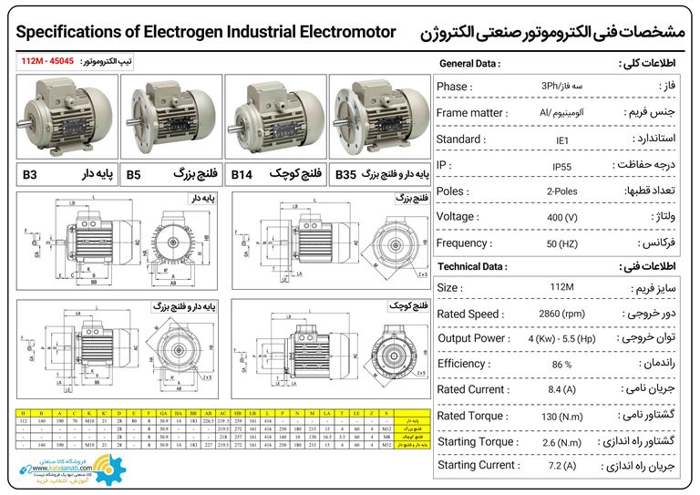 دیتاشیت الکتروژن